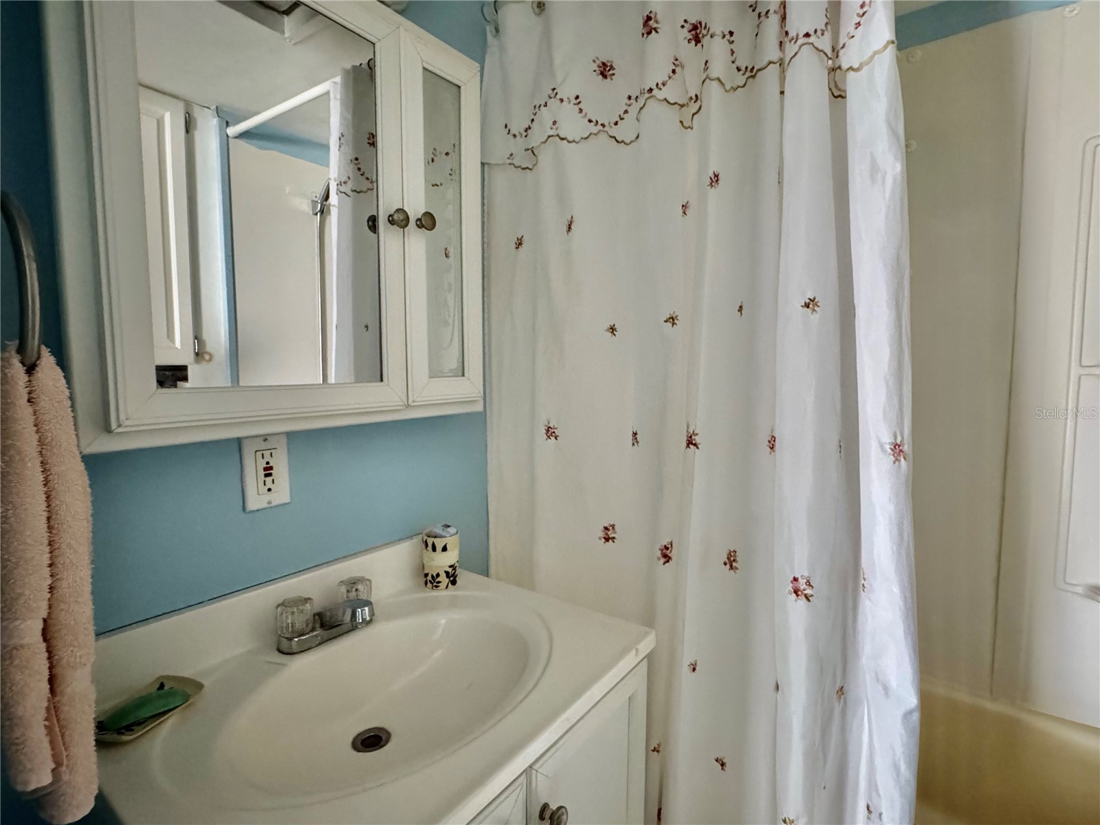 4842 Britni Way #058 Zephyrhills FL 33541 - LAKE LEHIGH TB8473518 image7