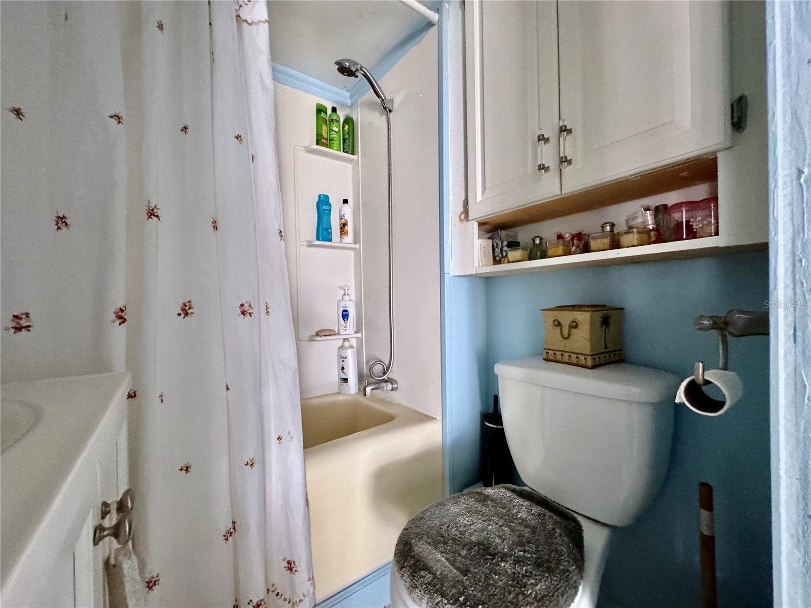 4842 Britni Way #058 Zephyrhills FL 33541 - LAKE LEHIGH TB8473518 image8