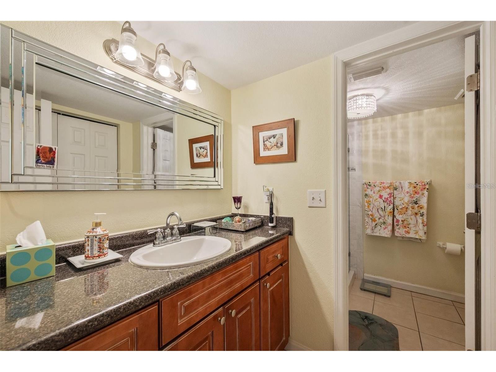 4842 Coquina Key Drive SE #B Saint Petersburg FL 33705 TB8477983 image20