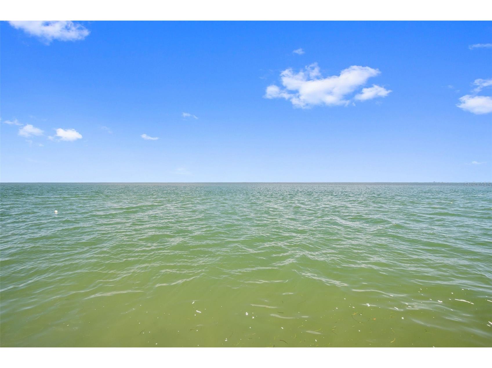 4842 Coquina Key Drive SE #B Saint Petersburg FL 33705 TB8477983 image35