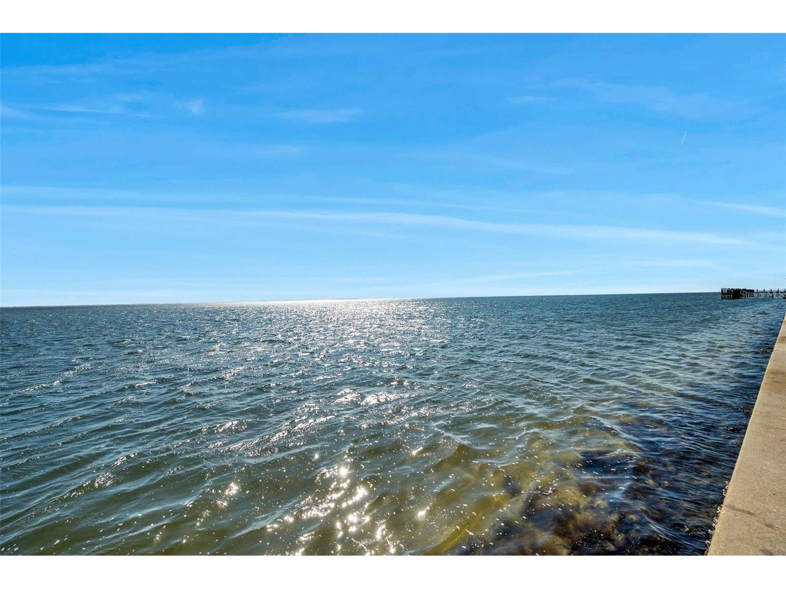 4842 Coquina Key Drive SE #B Saint Petersburg FL 33705 TB8477983 image36