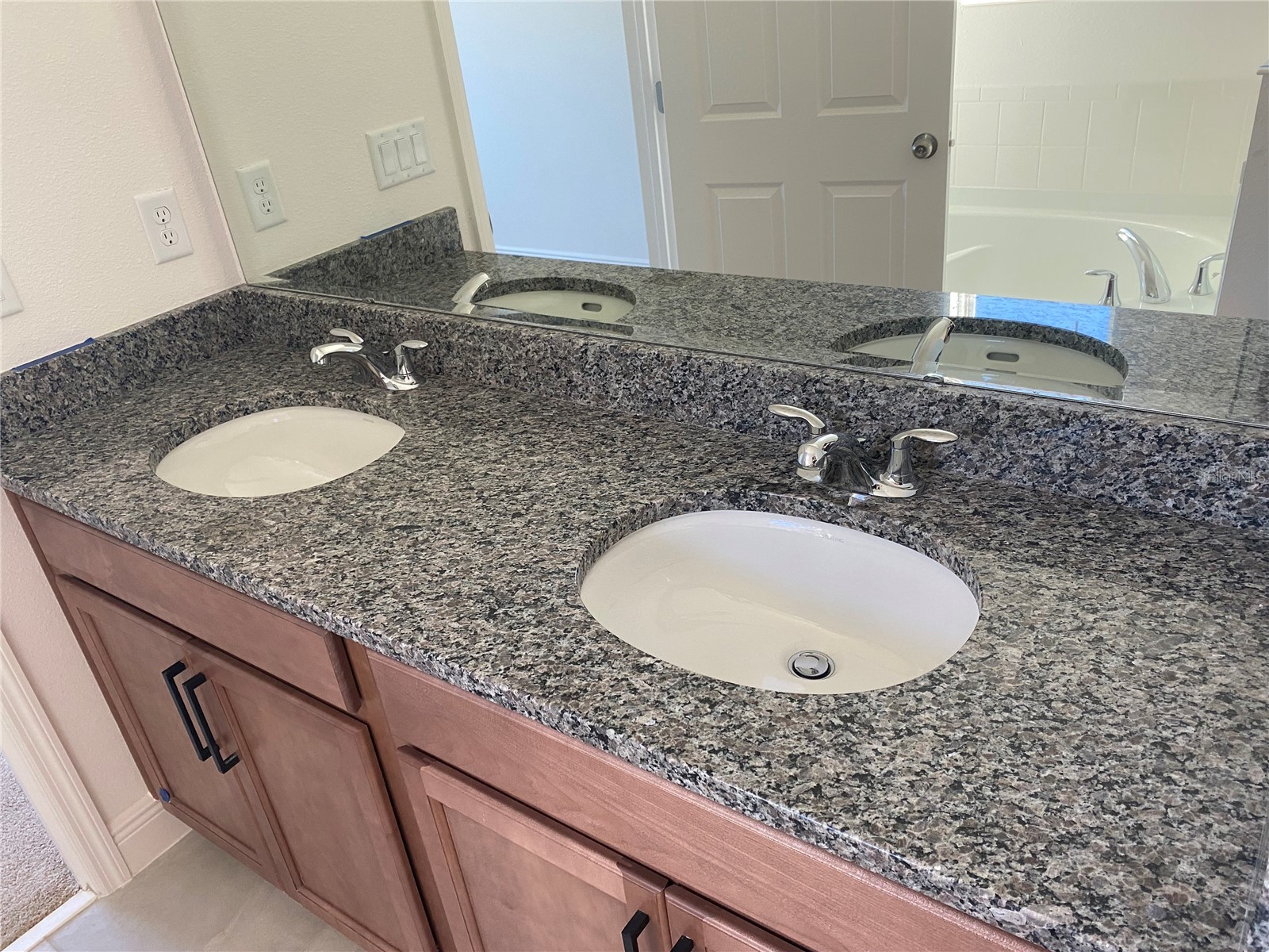 4842 Gilded Jewel Drive Mount Dora FL 32757 O6394903 image13