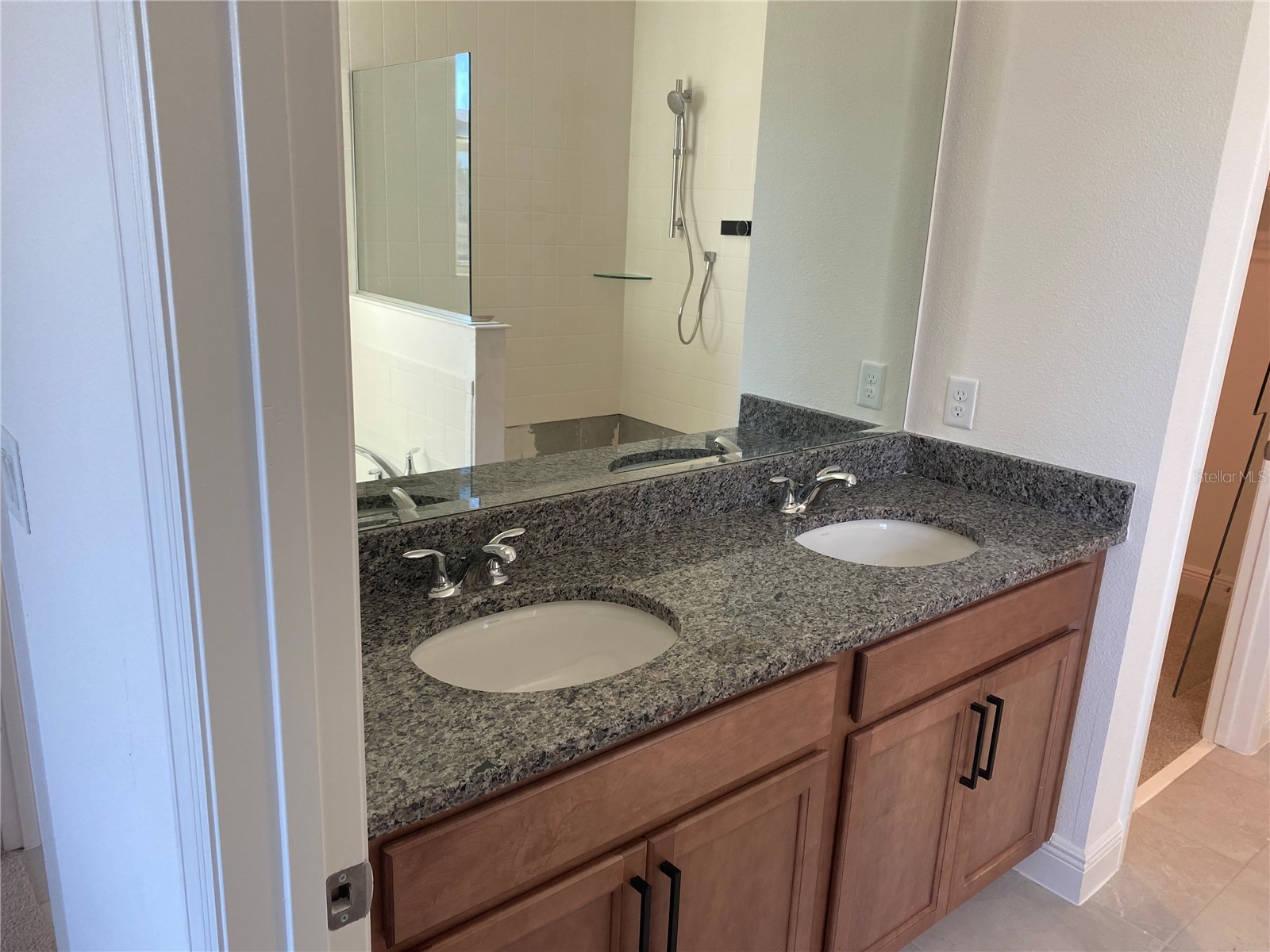 4842 Gilded Jewel Drive Mount Dora FL 32757 O6394903 image8