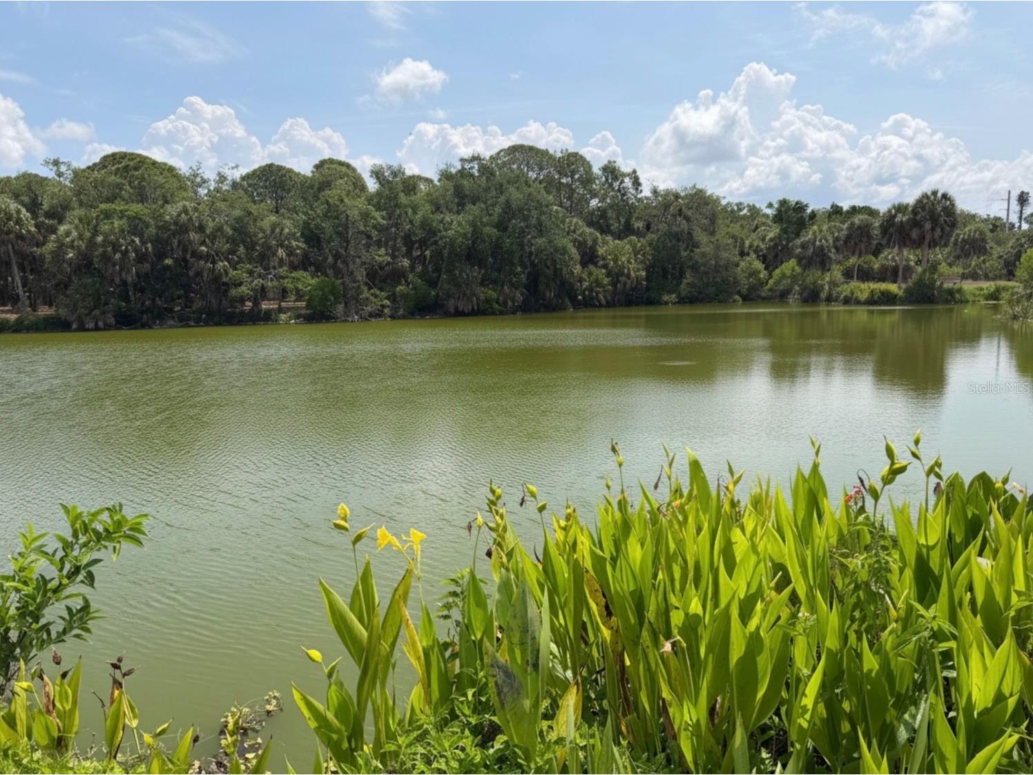 4842 Nutmeg Avenue Sarasota FL 34231 A4697828 image34