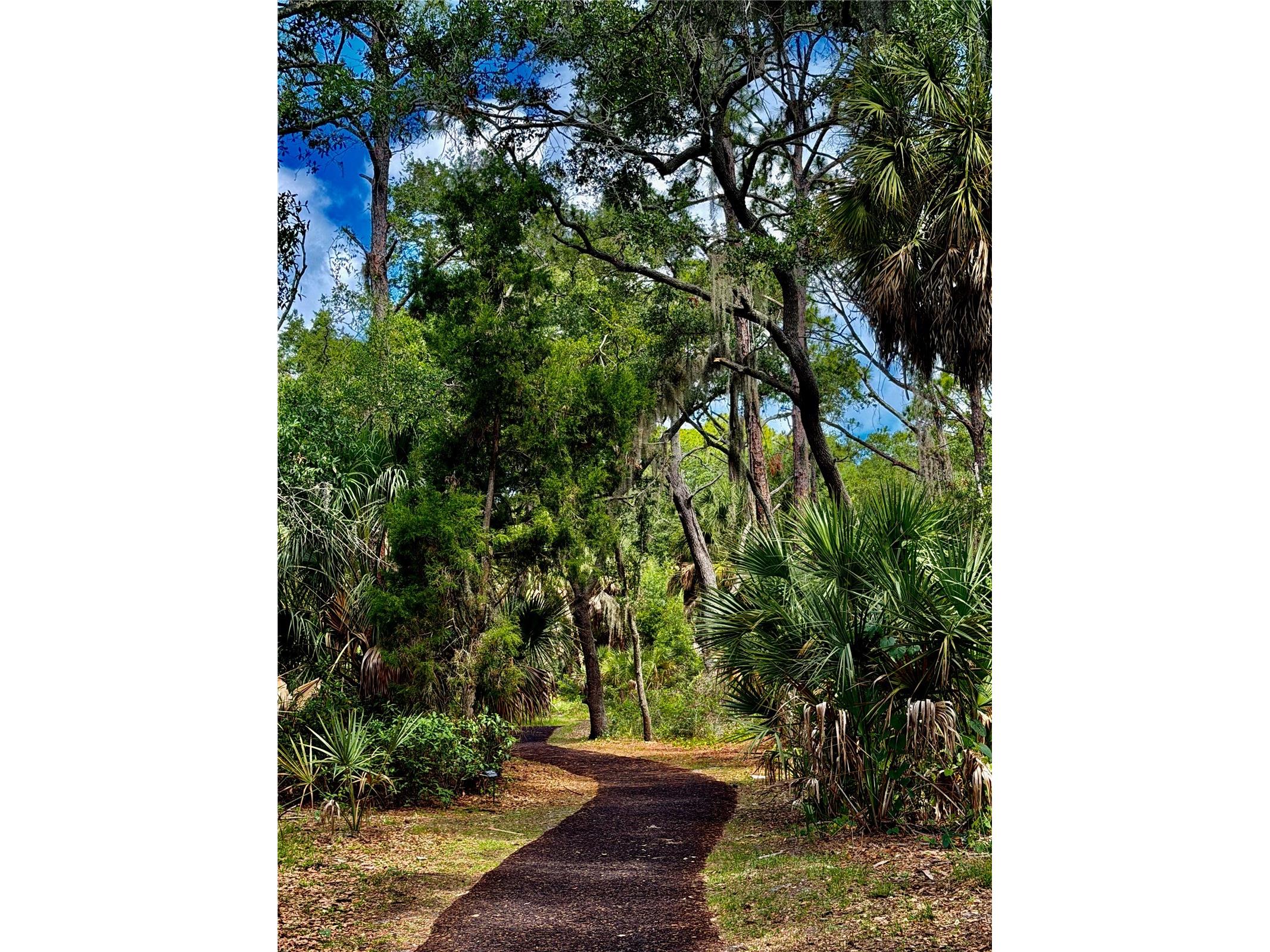 4842 Nutmeg Avenue Sarasota FL 34231 A4697828 image35