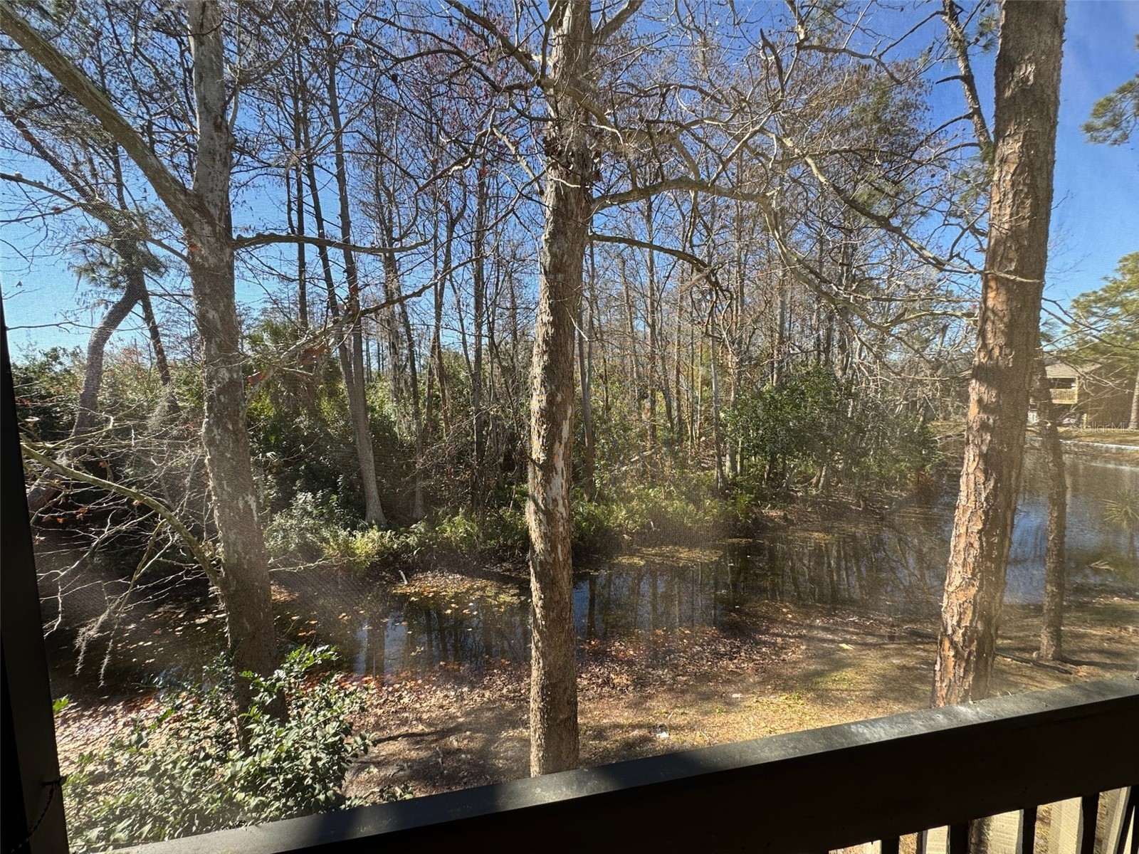 4842 Pebble Beach Drive #1006C Orlando FL 32811 O6380604 image20