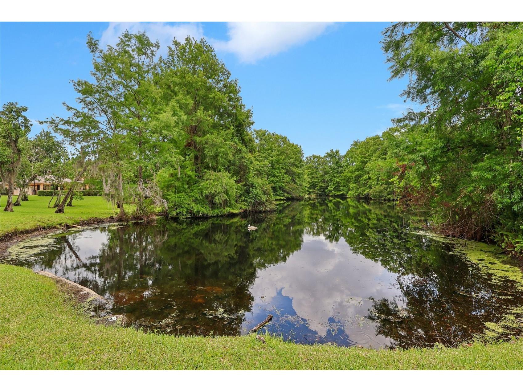 4842 S Semoran Boulevard #705 Orlando FL 32822 O6409496 image25