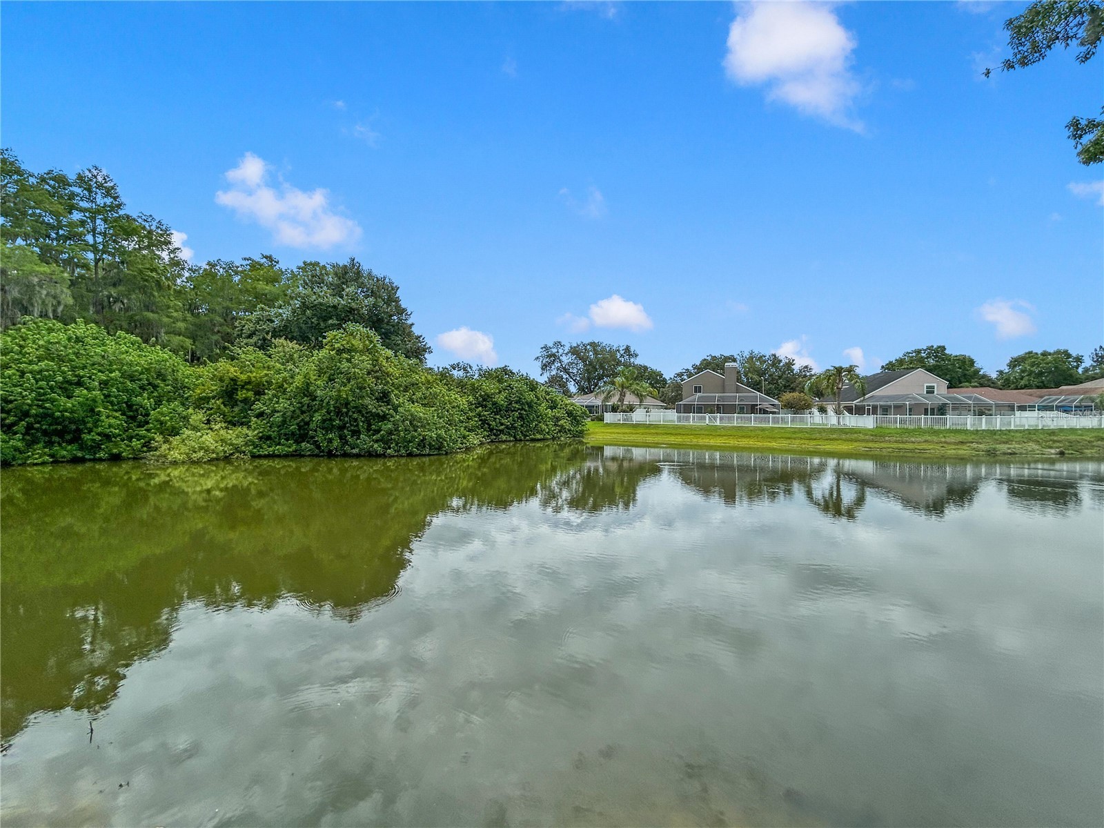 4842 Wellbrook Drive New Port Richey FL 34653 O6412775 image3
