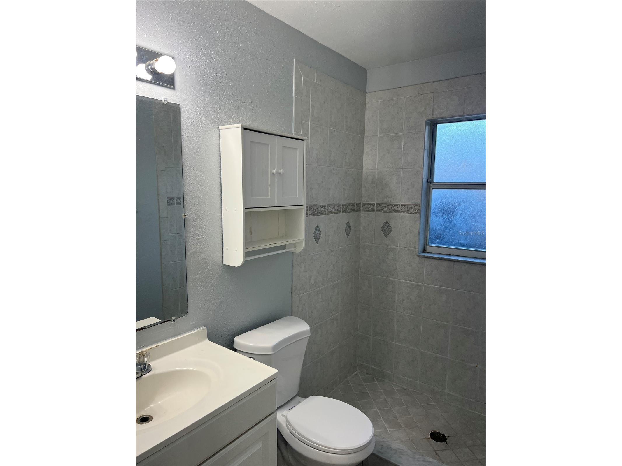 4843 Billy Direct Lane Lutz FL 33559 TB8499339 image12