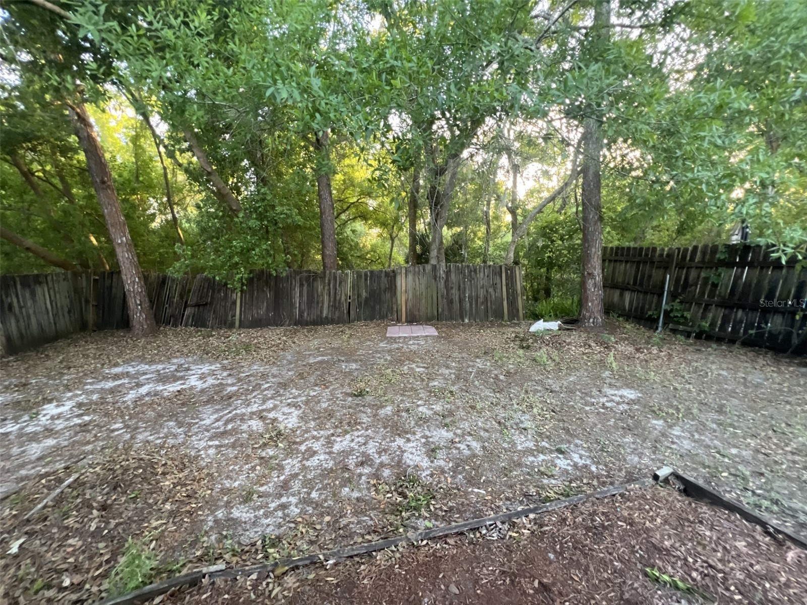 4843 Billy Direct Lane Lutz FL 33559 TB8499339 image4