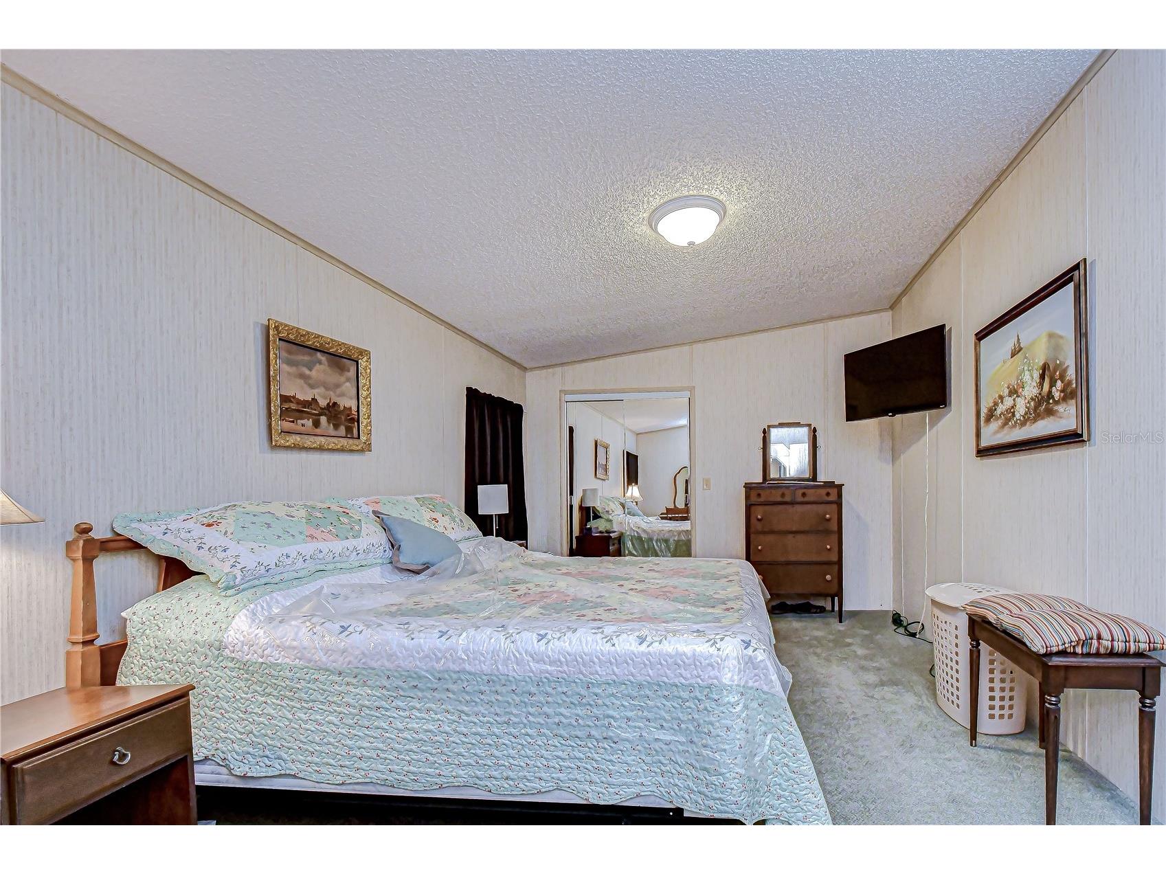 4843 Blanco Drive Zephyrhills FL 33541 TB8474980 image28