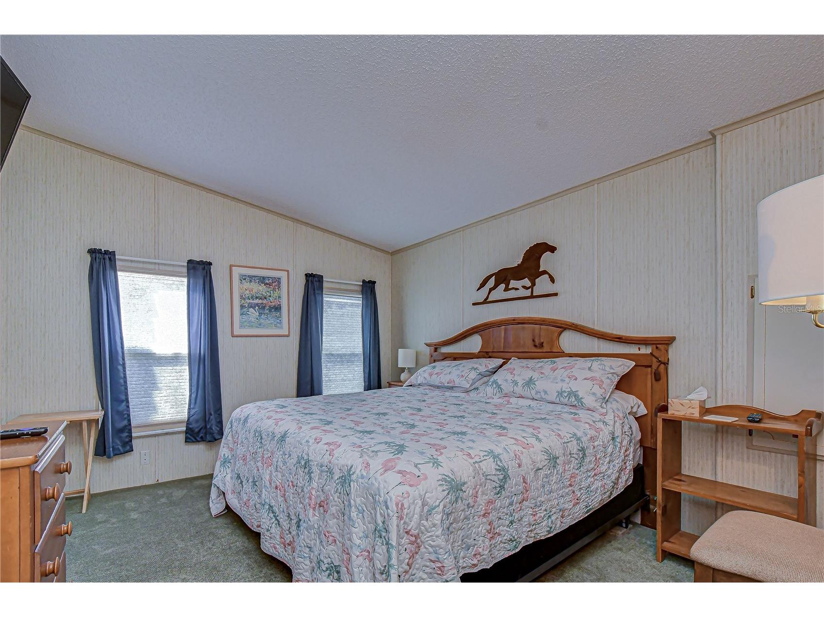 4843 Blanco Drive Zephyrhills FL 33541 TB8474980 image34
