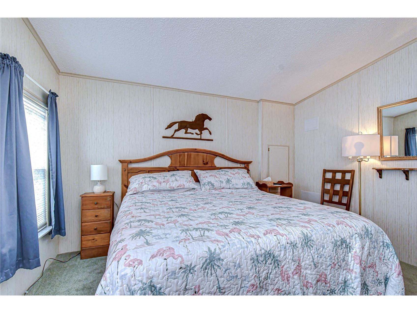 4843 Blanco Drive Zephyrhills FL 33541 TB8474980 image36