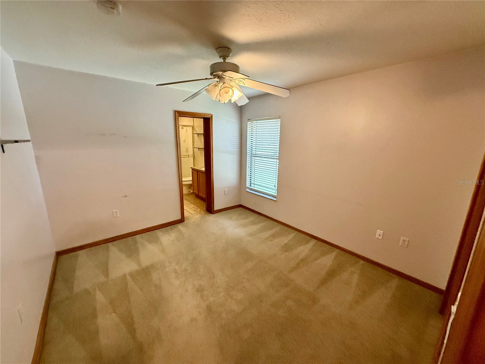 4843 Calasans Avenue Saint Cloud FL 34771 - ST CLOUD LAKE S5151558 image11