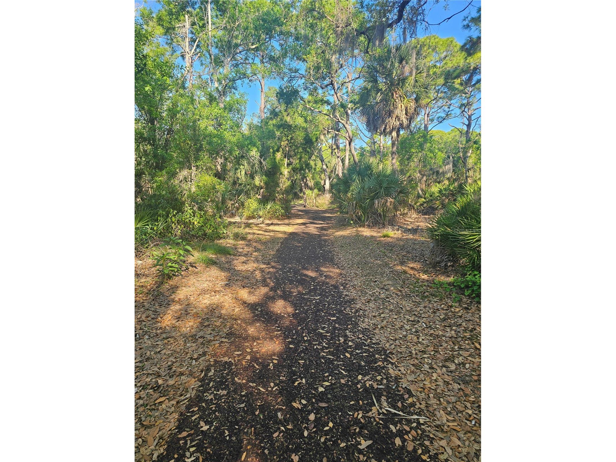 4843 Camphor Avenue Sarasota FL 34231 R4911484 image20
