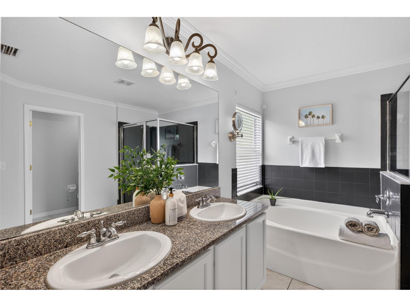 4845 Barchetta Drive Land O Lakes FL 34639 TB8504496 image42