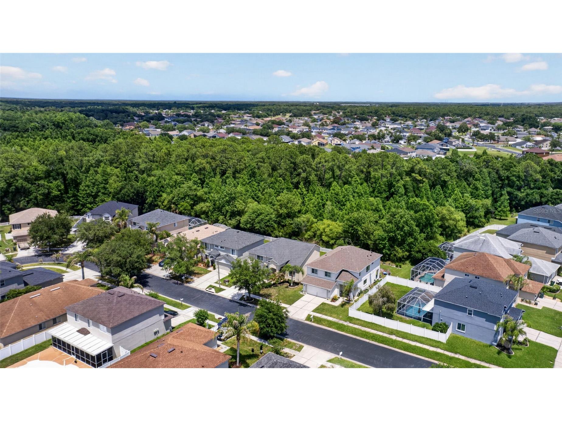4845 Barchetta Drive Land O Lakes FL 34639 TB8504496 image60