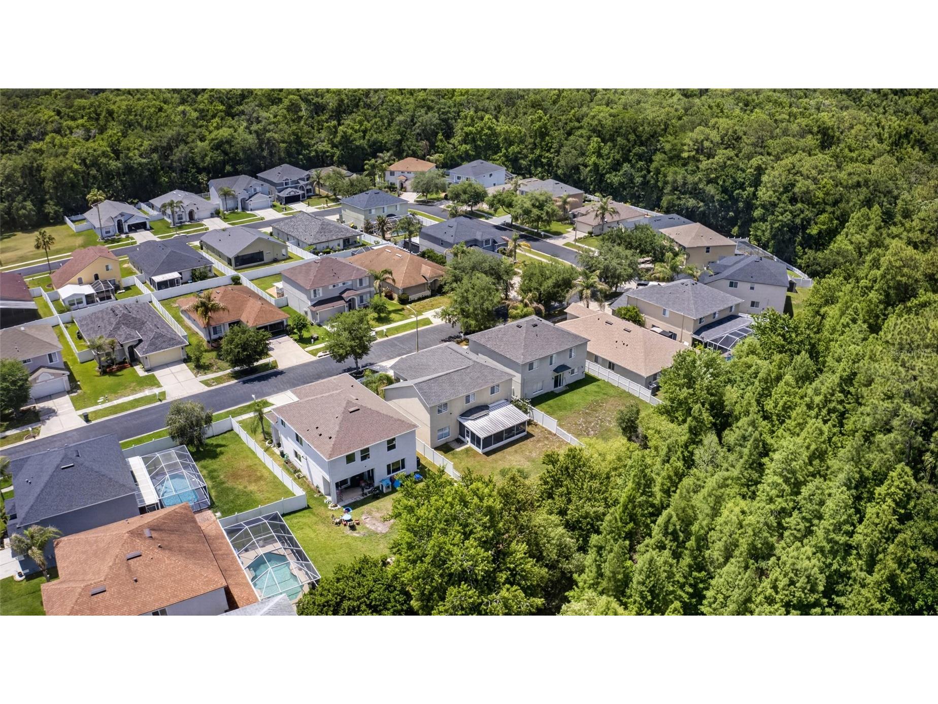 4845 Barchetta Drive Land O Lakes FL 34639 TB8504496 image61