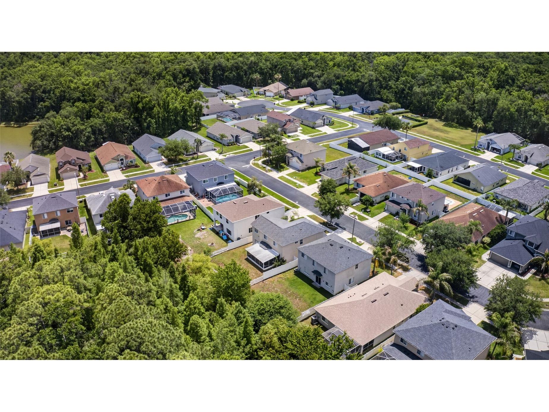 4845 Barchetta Drive Land O Lakes FL 34639 TB8504496 image62