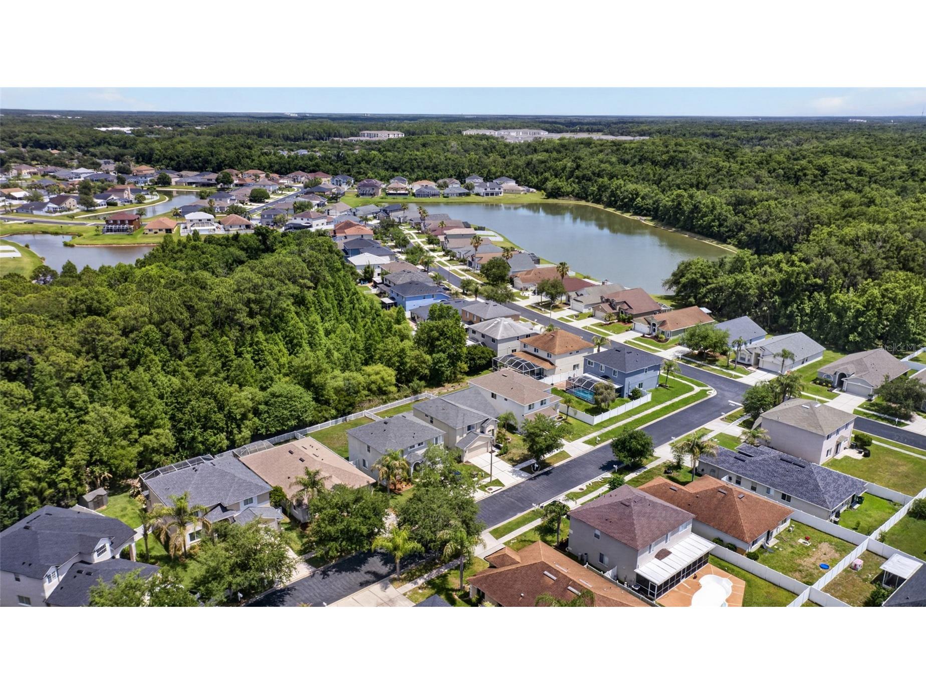 4845 Barchetta Drive Land O Lakes FL 34639 TB8504496 image63