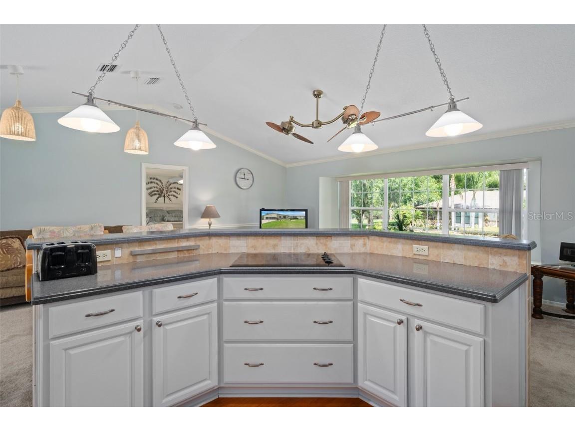 4845 S Prices Point Homosassa FL 34448 TB8336224 image17