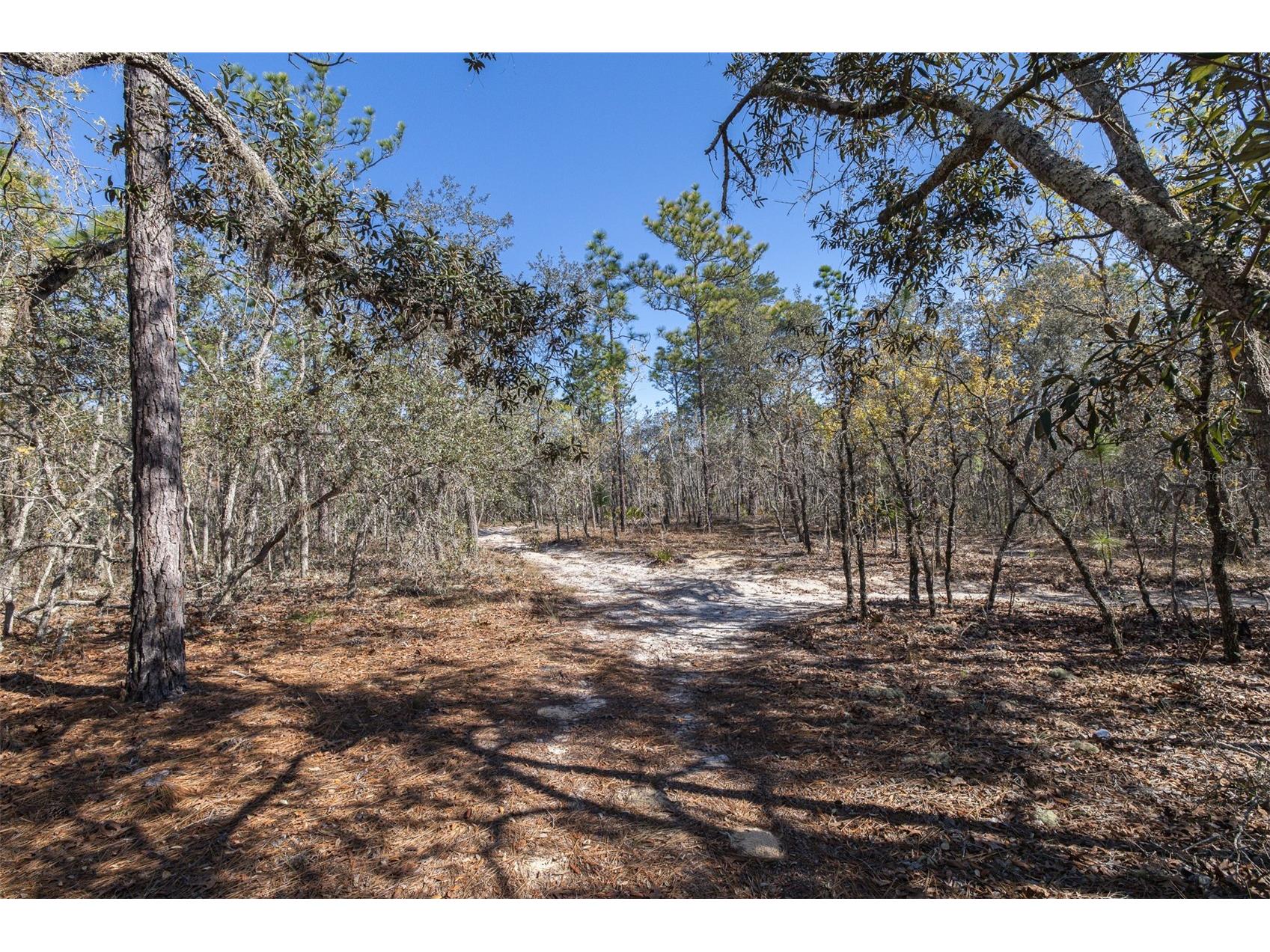 4845 W Herman Court Homosassa FL 34446 TB8489217 image10