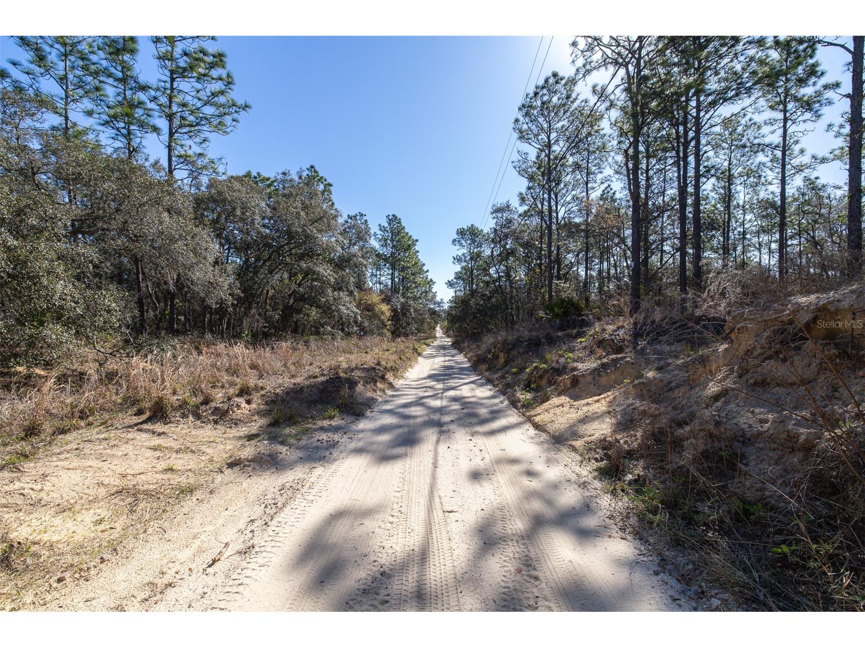 4845 W Herman Court Homosassa FL 34446 TB8489217 image11