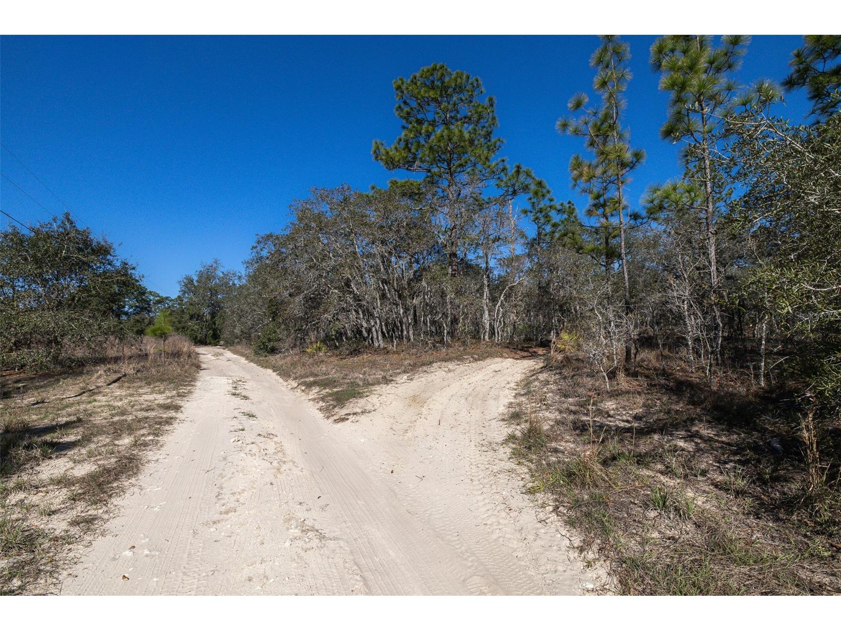 4845 W Herman Court Homosassa FL 34446 TB8489217 image6