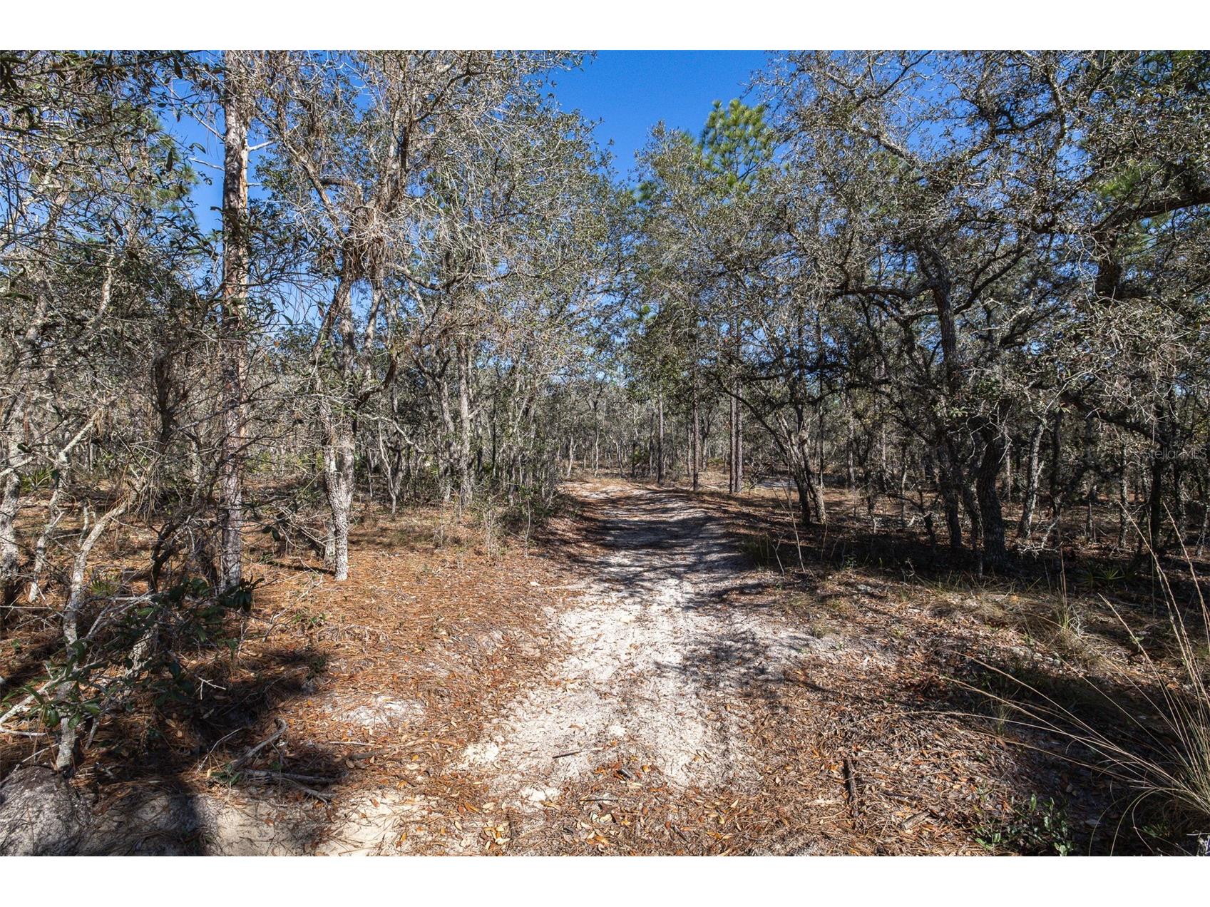 4845 W Herman Court Homosassa FL 34446 TB8489217 image7