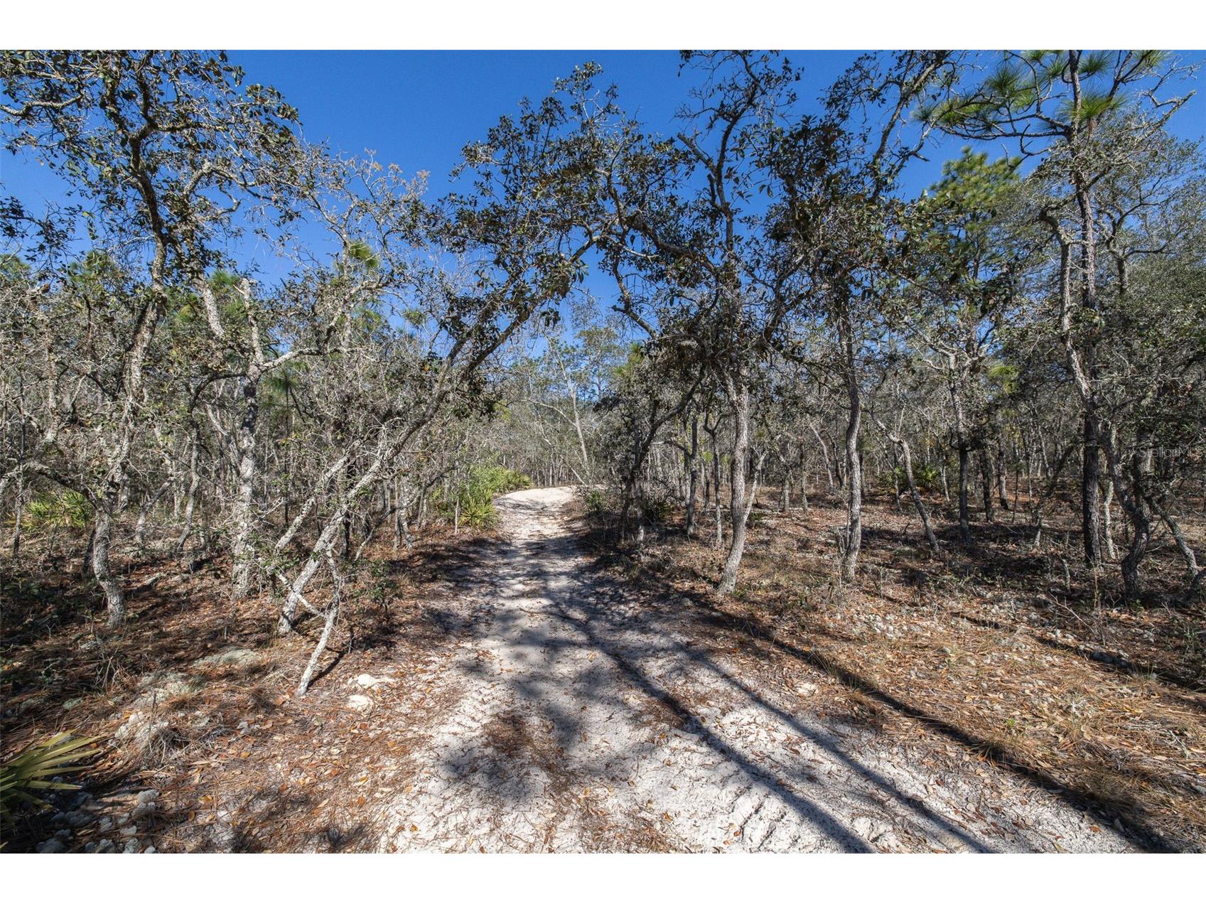 4845 W Herman Court Homosassa FL 34446 TB8489217 image8