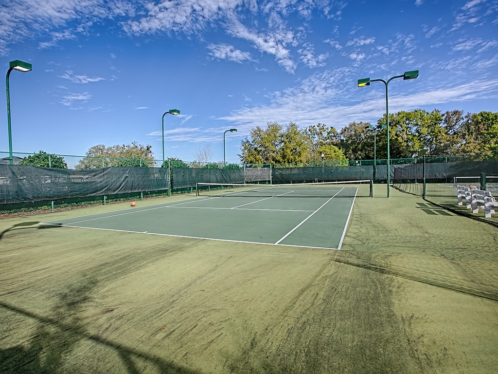 4846 Audrey Marie Court Oxford FL 34484 G5104749 image47