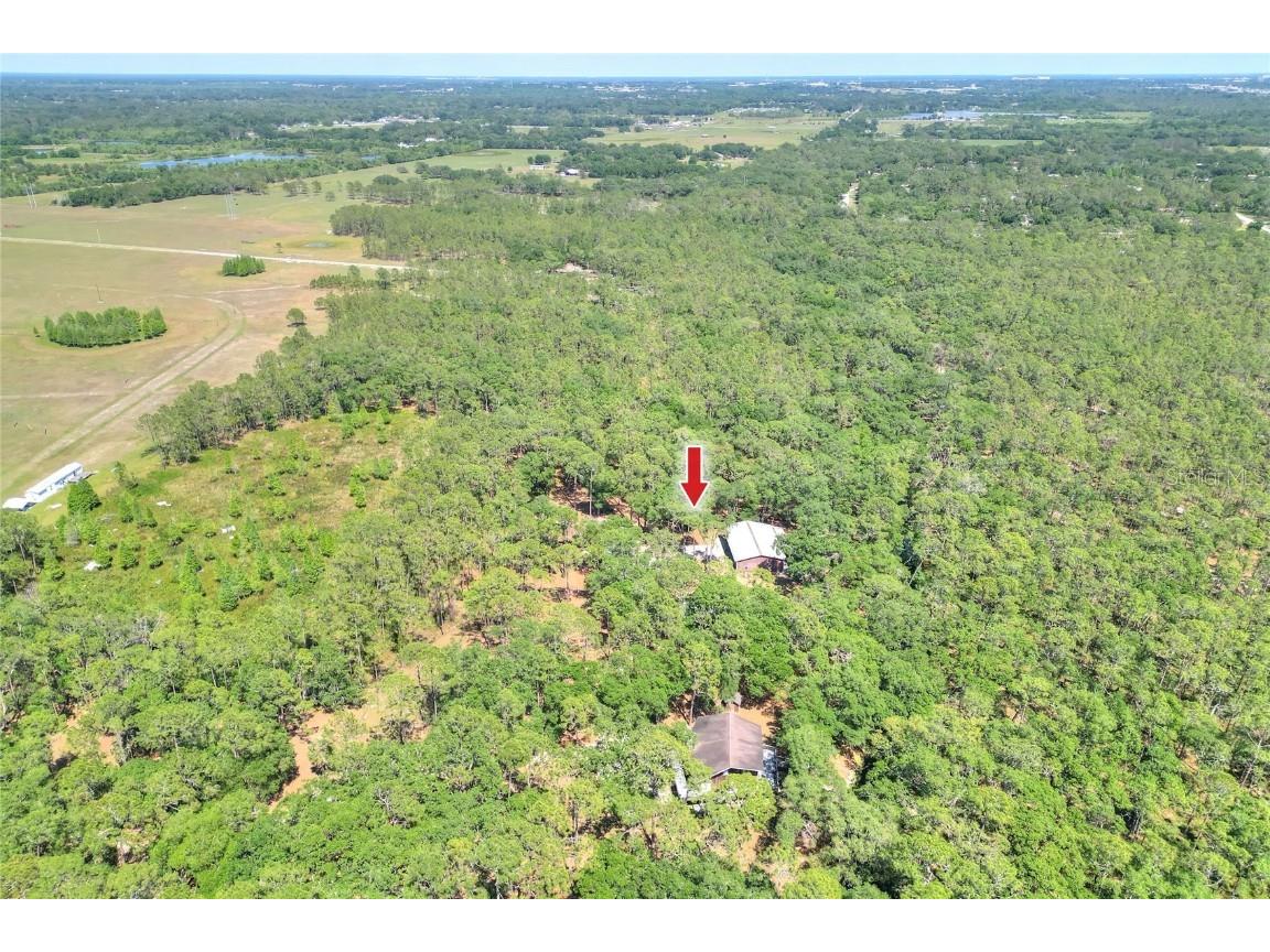 4846 Knights Station Road Lakeland FL 33810 L4952028 image46