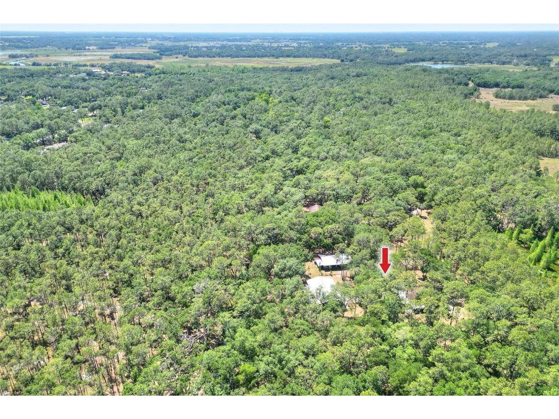 4846 Knights Station Road Lakeland FL 33810 L4952028 image48