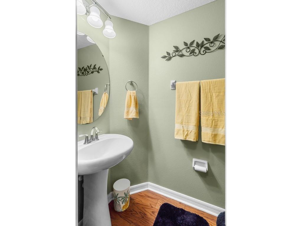 4847 Havilland Drive Mount Dora FL 32757 O6334642 image12