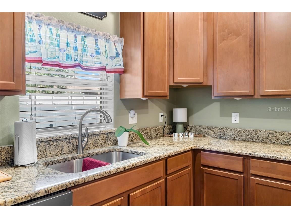 4847 Havilland Drive Mount Dora FL 32757 O6334642 image16