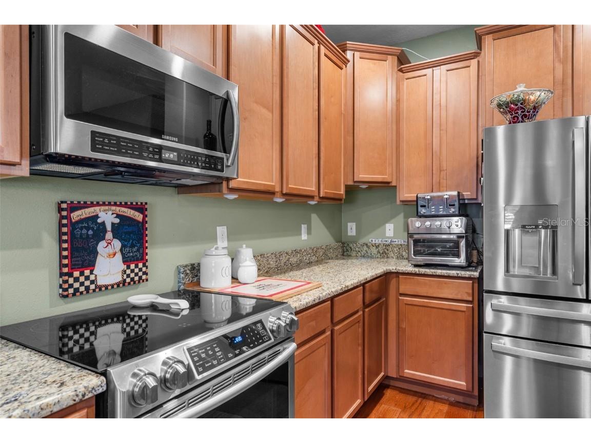 4847 Havilland Drive Mount Dora FL 32757 O6334642 image17