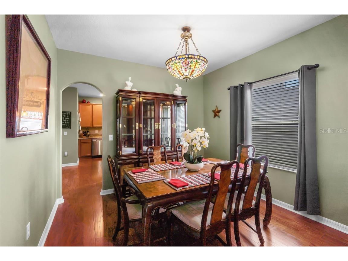 4847 Havilland Drive Mount Dora FL 32757 O6334642 image20