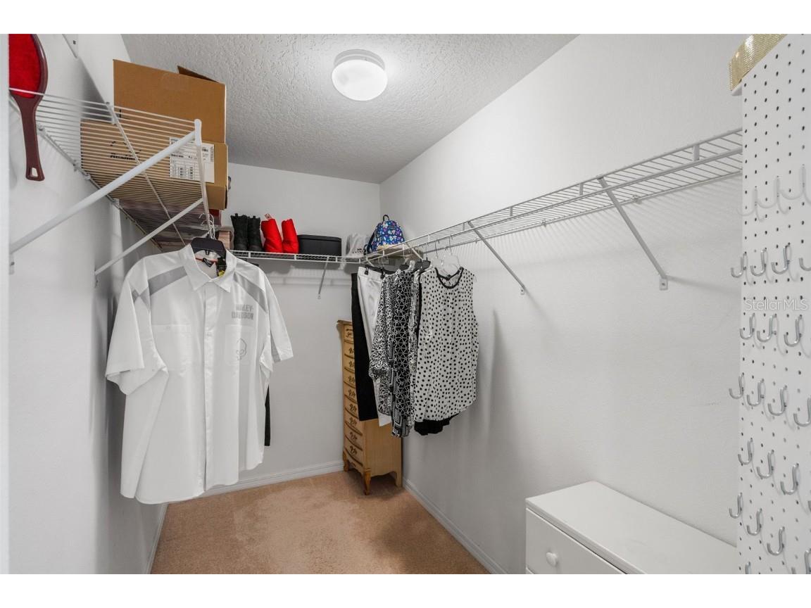 4847 Havilland Drive Mount Dora FL 32757 O6334642 image32