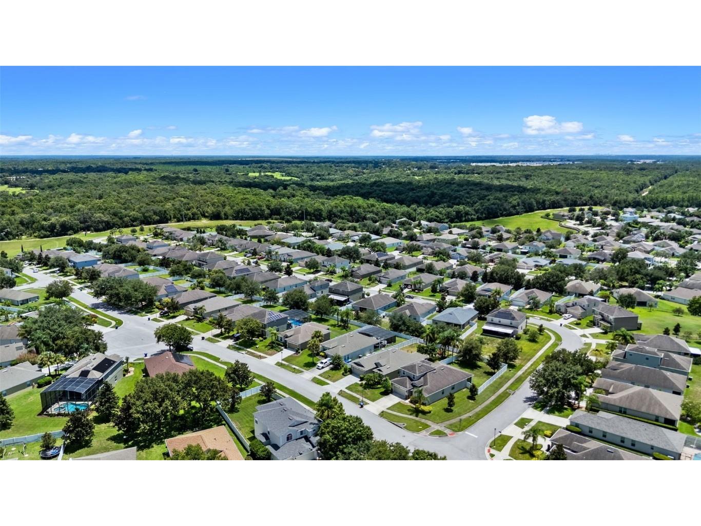 4847 Havilland Drive Mount Dora FL 32757 O6334642 image46