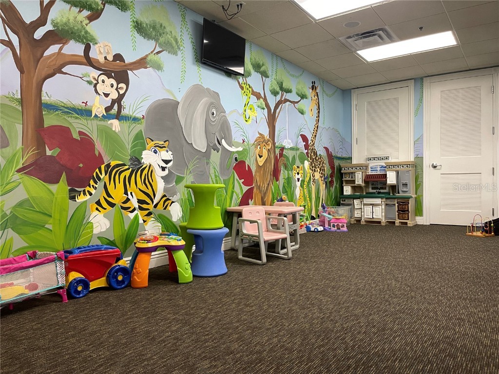 4847 Havilland Drive Mount Dora FL 32757 O6334642 image54