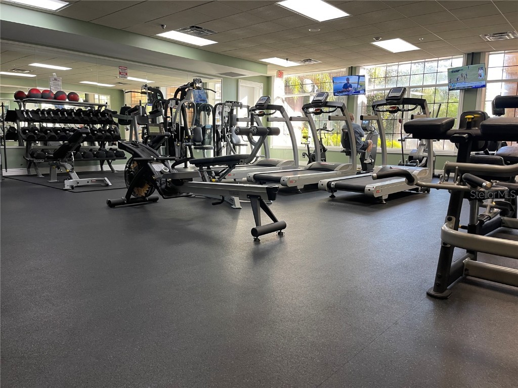 4847 Havilland Drive Mount Dora FL 32757 O6334642 image55