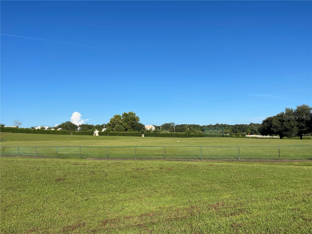 4847 Havilland Drive Mount Dora FL 32757 O6334642 image58