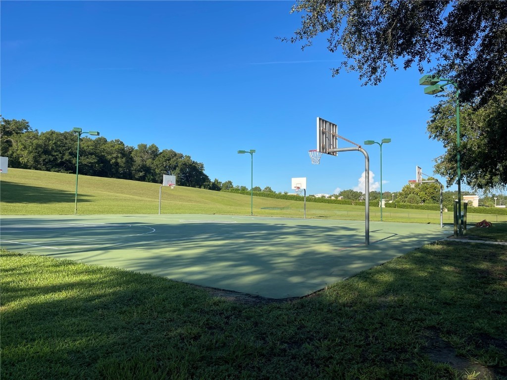 4847 Havilland Drive Mount Dora FL 32757 O6334642 image59