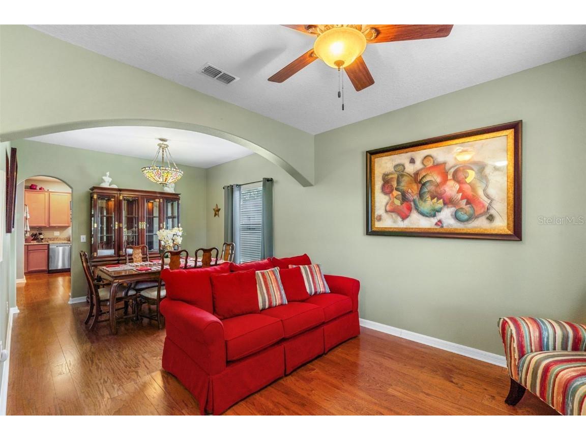 4847 Havilland Drive Mount Dora FL 32757 O6334642 image9