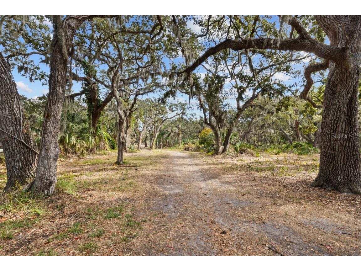 4848 Camphor Avenue Sarasota FL 34231 A4675711 image40