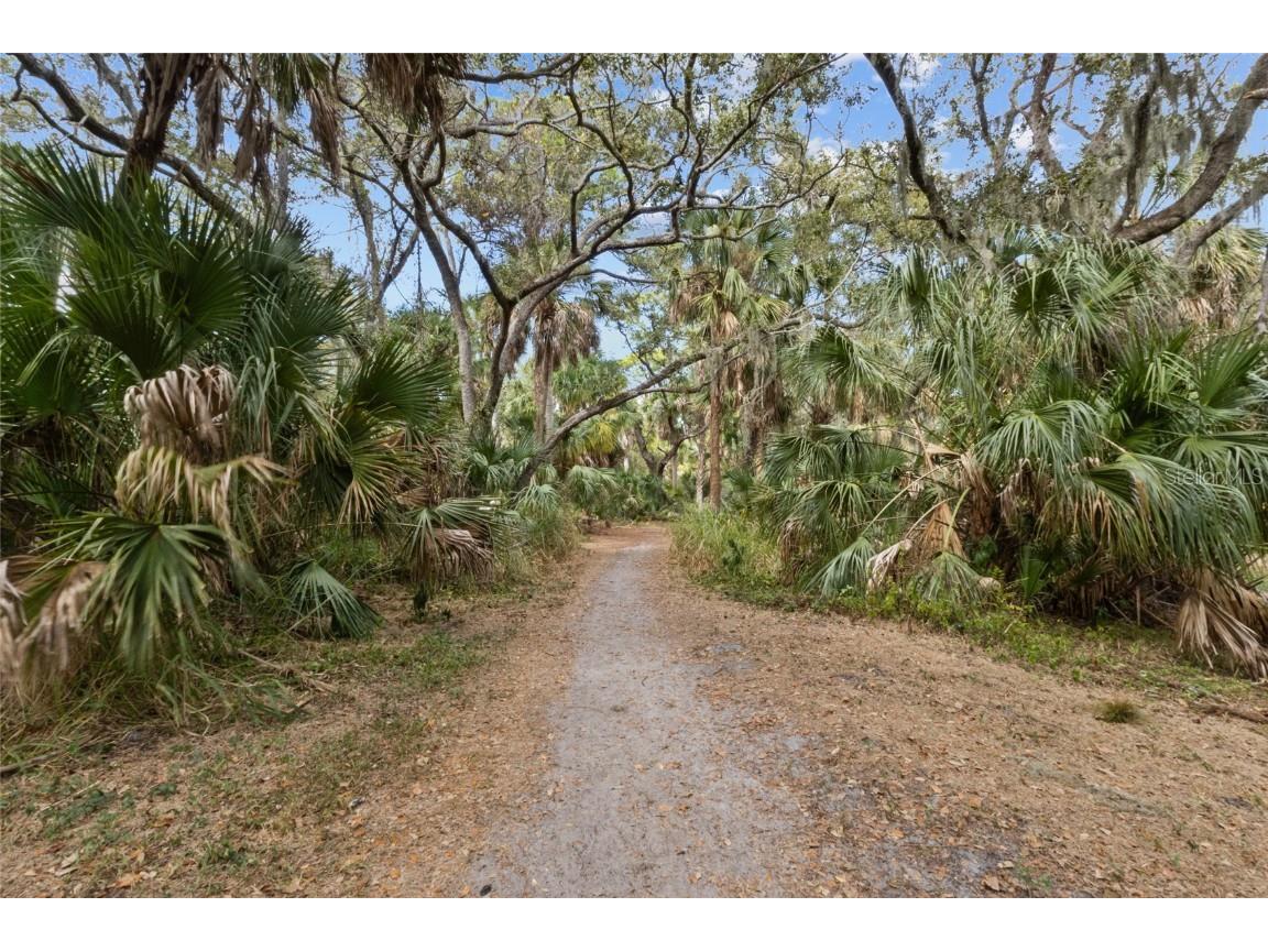 4848 Camphor Avenue Sarasota FL 34231 A4675711 image41