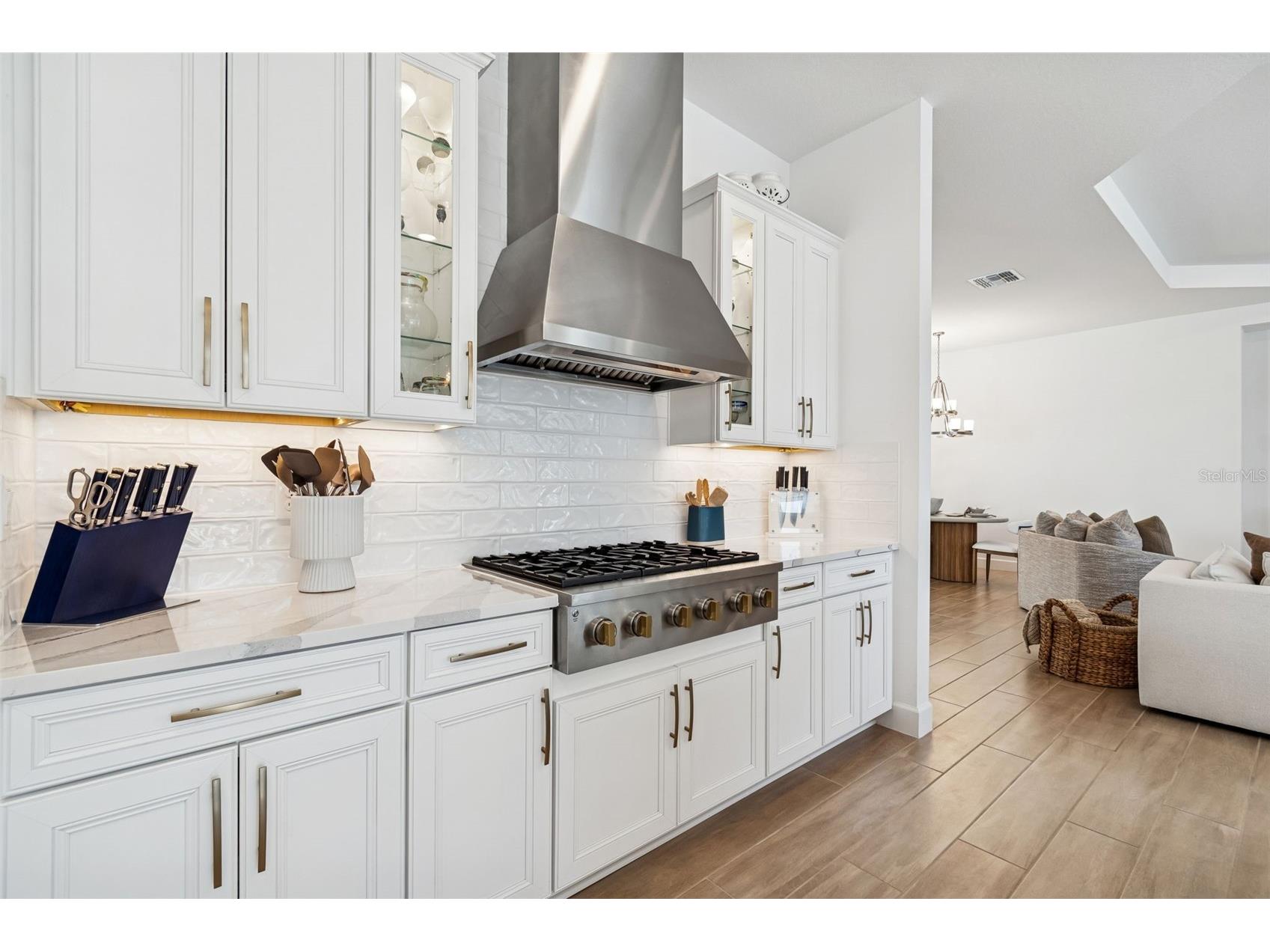 4848 Rosatti Road Wesley Chapel FL 33543 TB8470236 image36