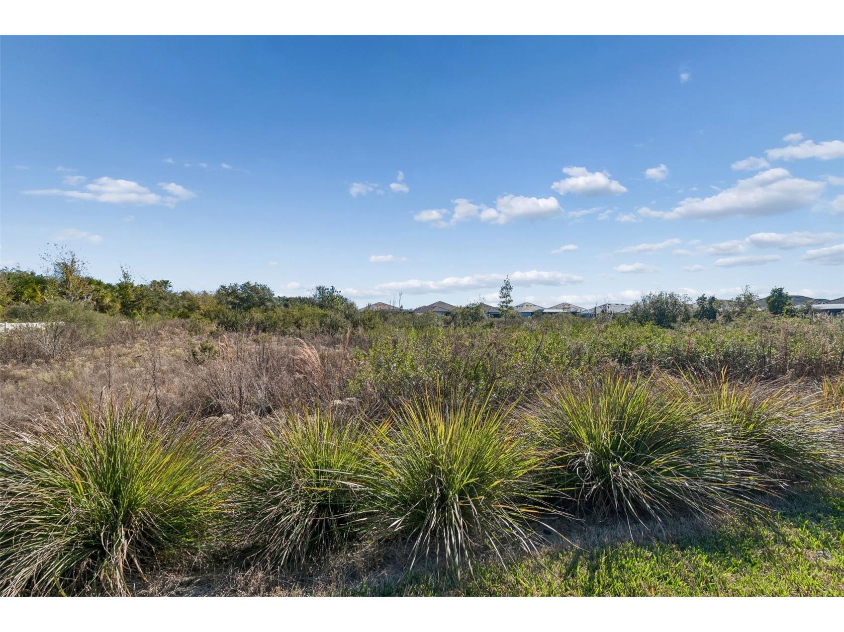 4848 Rosatti Road Wesley Chapel FL 33543 TB8470236 image68