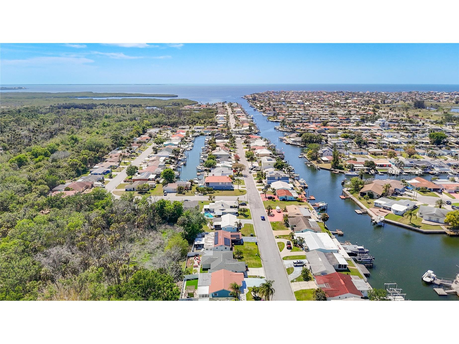 4848 Shell Stream Boulevard New Port Richey FL 34652 L4961291 image49