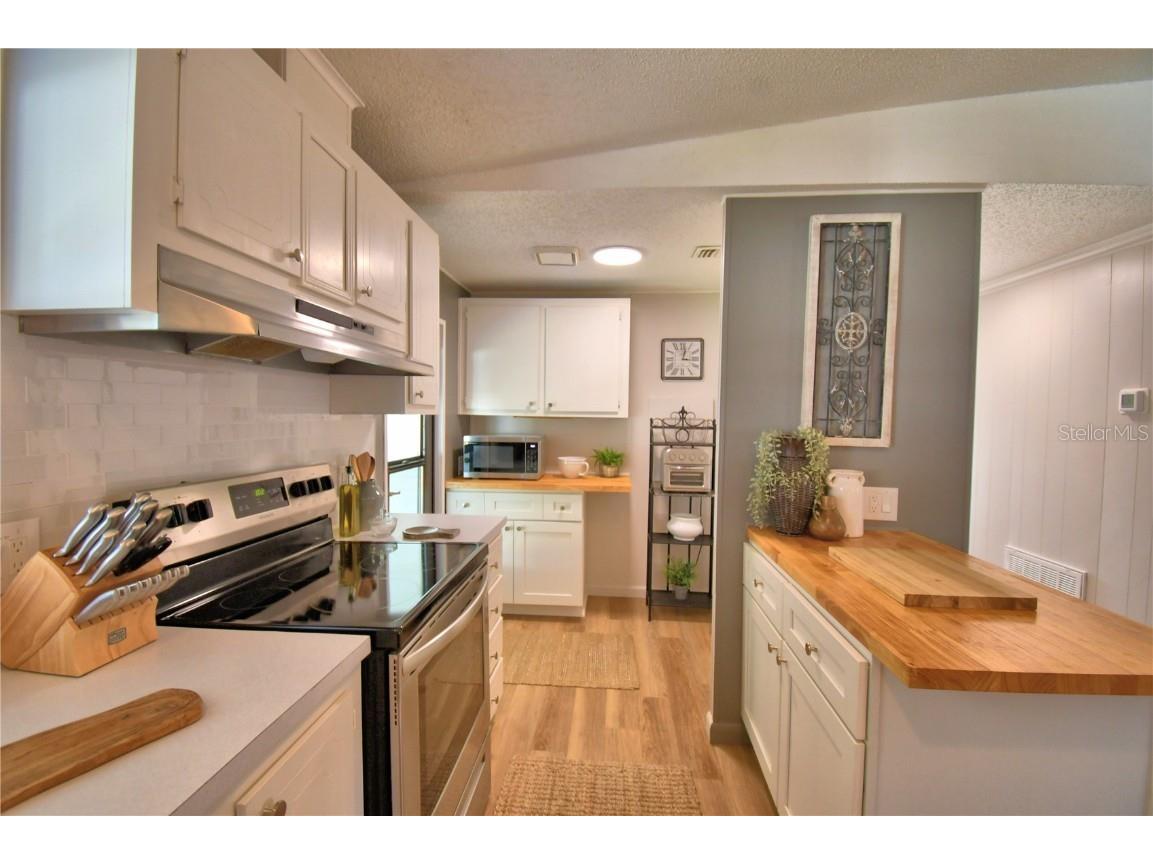 4849 Goldenview Lane Lakeland FL 33811 L4957426 image8